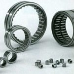 igielkowe_poprzeczne